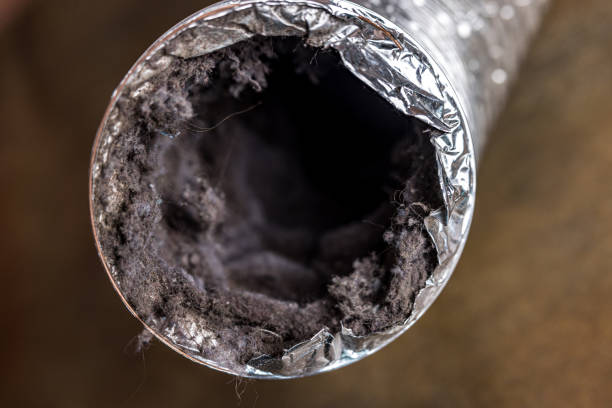 Best Air Vent Cleaning Services  in Rainier, OR