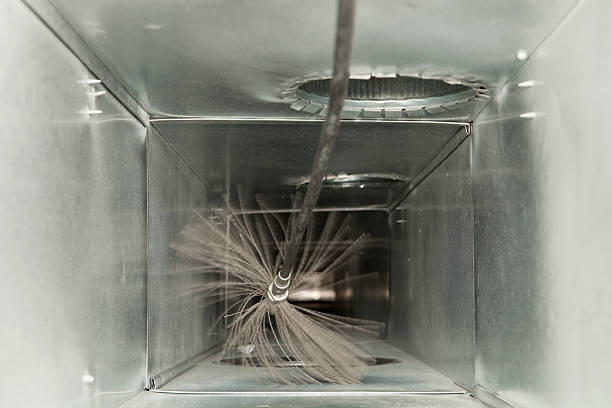 Best Home Air Vent Cleaning  in Rainier, OR